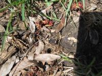 View photo in a new window