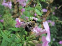 View photo in a new window