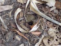 View photo in a new window