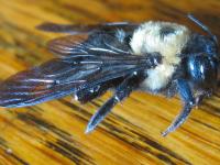 View photo in a new window