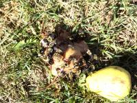 View photo in a new window