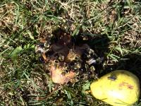 View photo in a new window