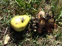 View photo in a new window