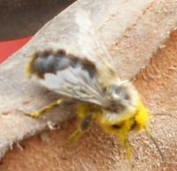 View photo in a new window