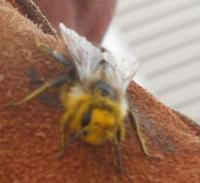 View photo in a new window