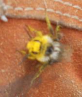 View photo in a new window