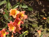 View photo in a new window