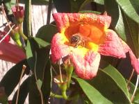 View photo in a new window