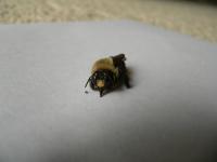 View photo in a new window