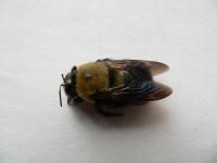 View photo in a new window