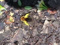 View photo in a new window