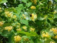 View photo in a new window