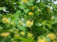 View photo in a new window