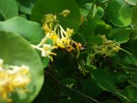 View photo in a new window