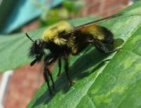 View photo in a new window