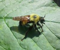 View photo in a new window