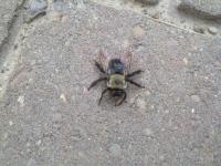 View photo in a new window