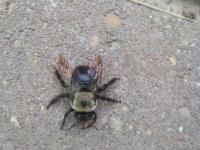 View photo in a new window