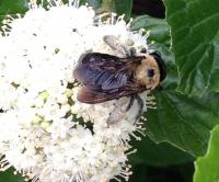 View photo in a new window