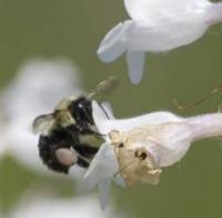 View photo in a new window