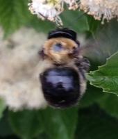 View photo in a new window