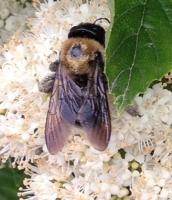 View photo in a new window