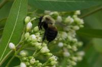 View photo in a new window