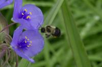 View photo in a new window