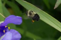 View photo in a new window