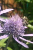 View photo in a new window