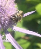 View photo in a new window