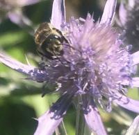 View photo in a new window