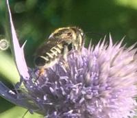 View photo in a new window