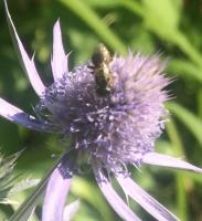 View photo in a new window