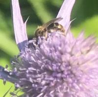 View photo in a new window