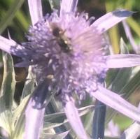 View photo in a new window