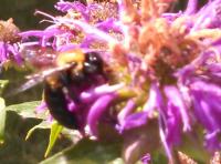 View photo in a new window