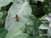 View photo in a new window