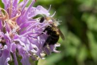 View photo in a new window