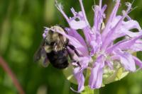 View photo in a new window