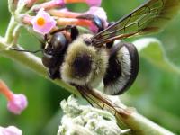 View photo in a new window