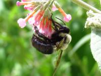 View photo in a new window