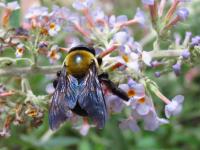 View photo in a new window