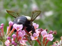 View photo in a new window