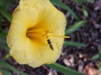 View photo in a new window