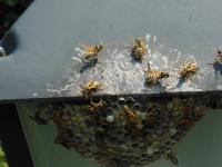 View photo in a new window