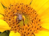 View photo in a new window