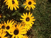 View photo in a new window