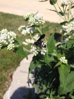 View photo in a new window