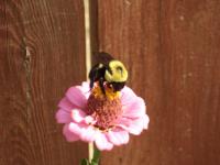 View photo in a new window